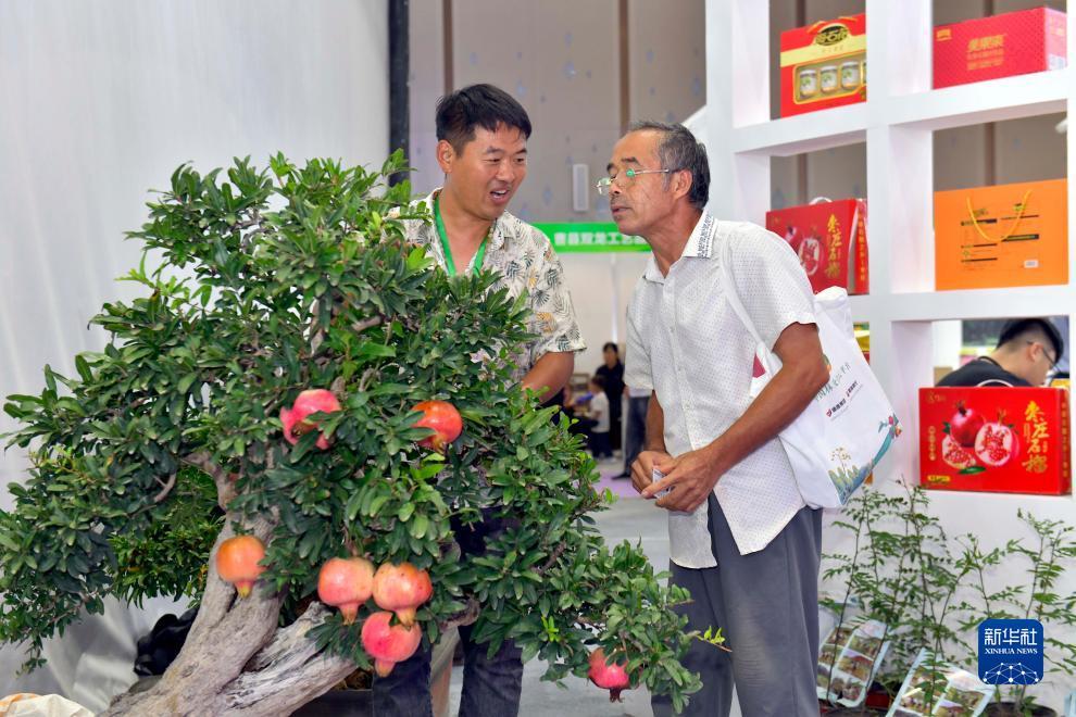 捕鱼游戏中心
